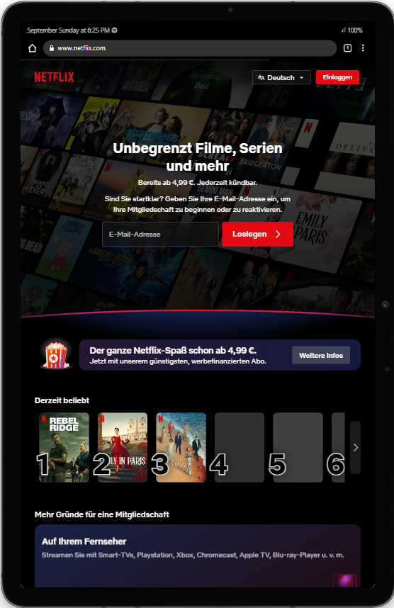 A screenshot of the Netflix website's main page viewed on a tablet device