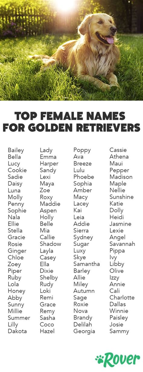 good dog names for golden retrievers girls