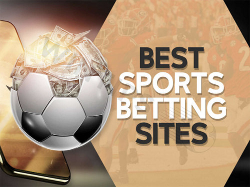 Bookmakers, commonly known as bookies, are essential players in the sports betting industry. They provide betting services, set odds, and manage the bets and payouts for players. These platforms are often established by large organizations or individuals with significant financial backing. With countless online bookmakers available, how can players identify the most reputable ones? For many bettors, selecting a trusted bookmaker from the many options can be daunting, especially for beginners. 
See detail: https://wintips.com/bookmakers/

#reviewbookmaker #reviewbookmakerwintips #bettingtool #bettingtoolwintips