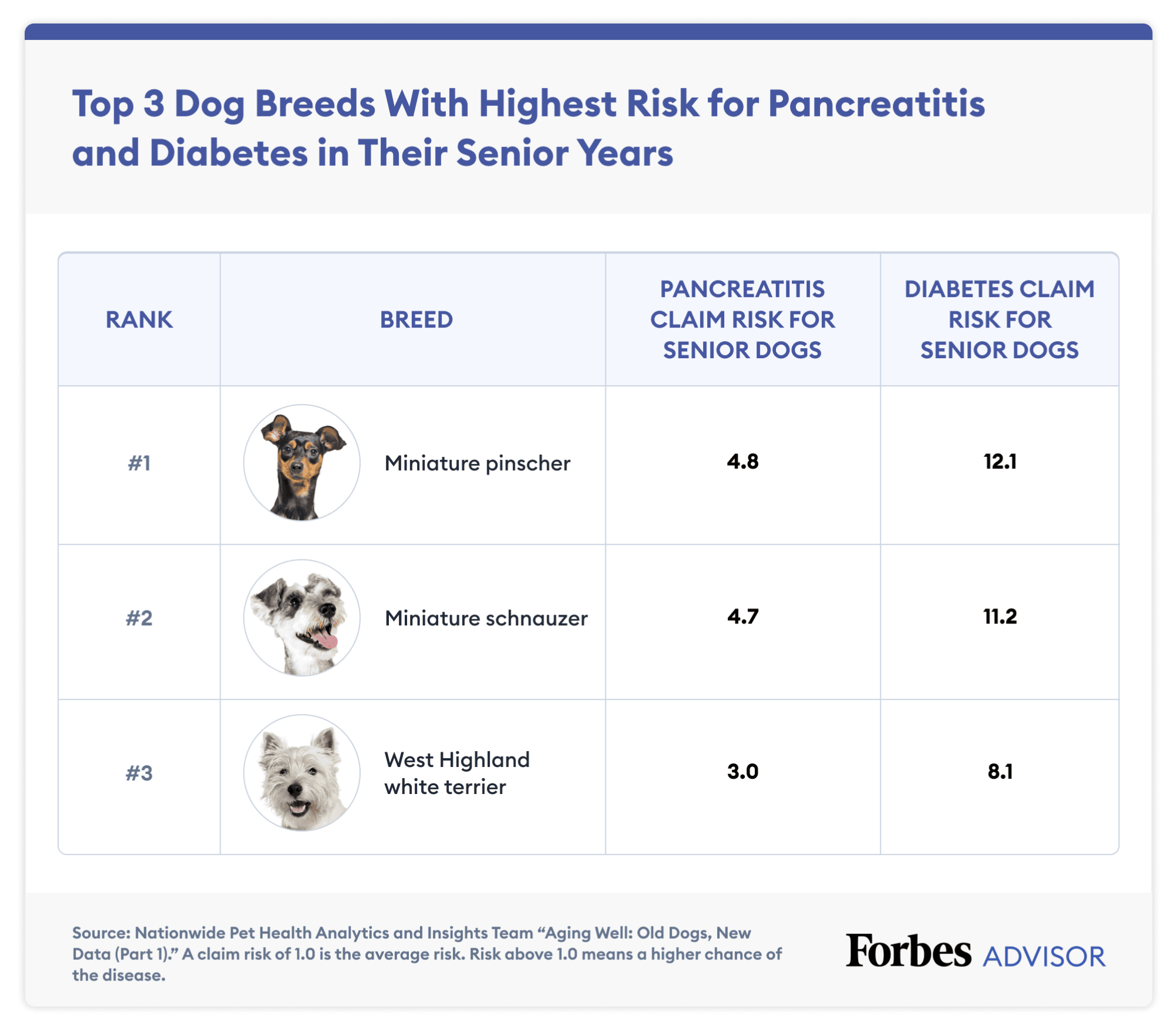 My Dog's Anal Gland Scare