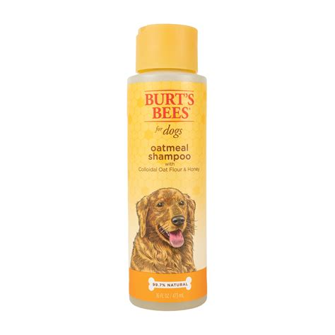 Burt's Bees Oatmeal Shampoo