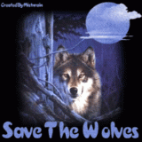 SAVE-THE-WOLVES