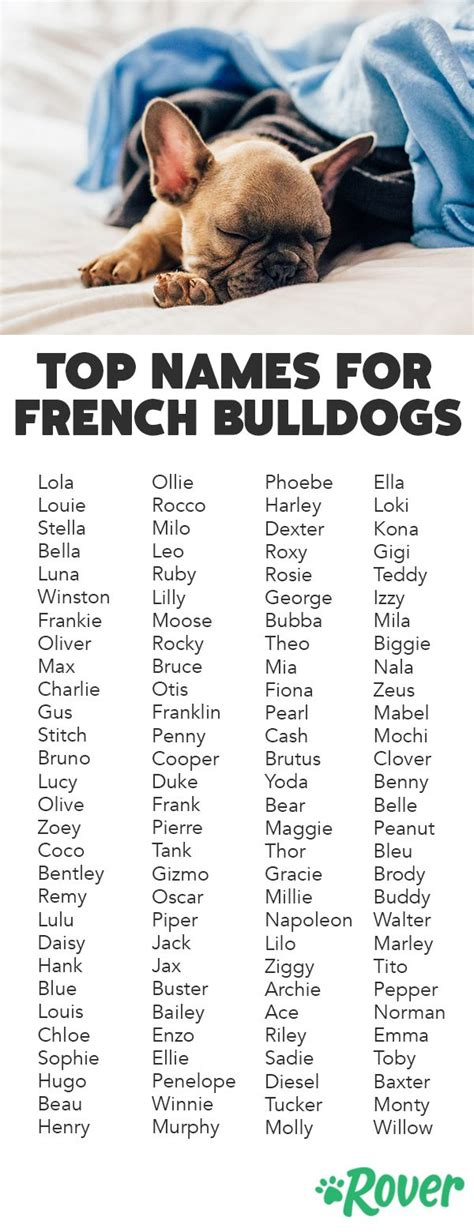 what are some good french dog names