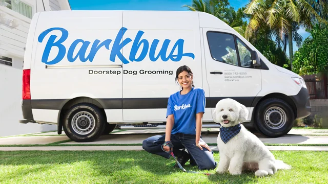 barkbus mobile dog grooming phoenix az reviews