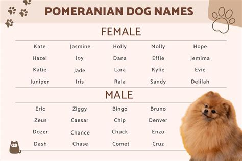 cute names for dogs female korean