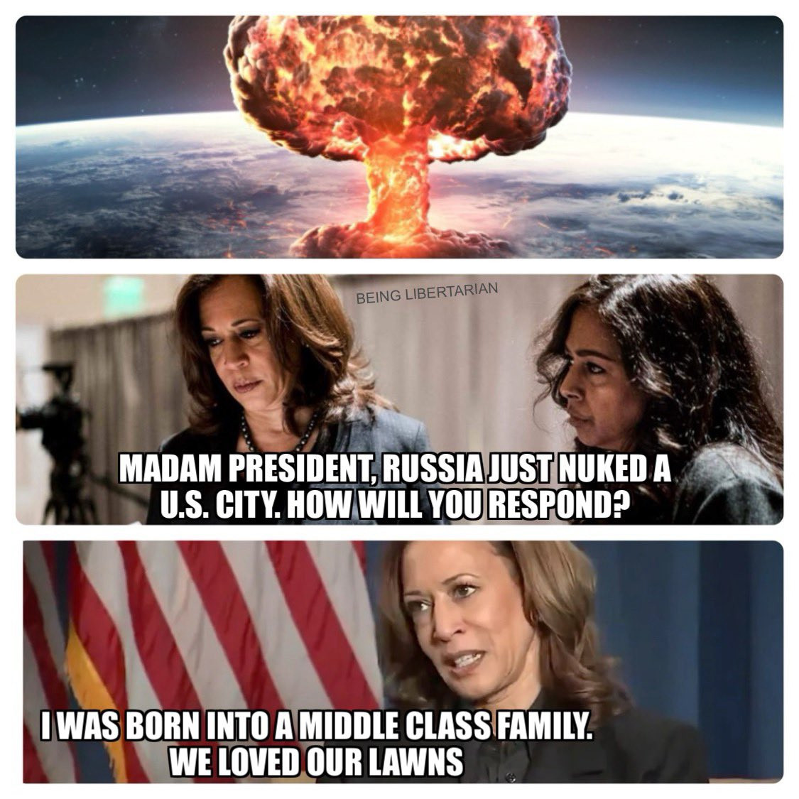 [Image: SAwlm.jpg]