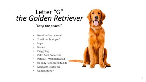 golden retriever personality type characteristics