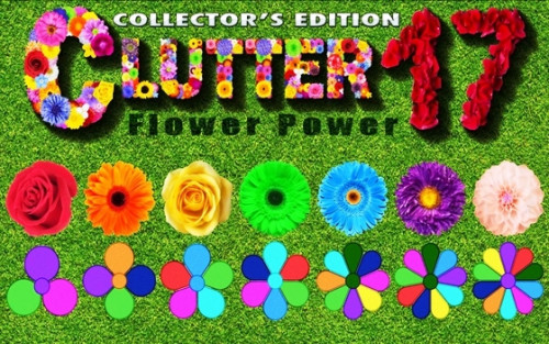 Clutter17