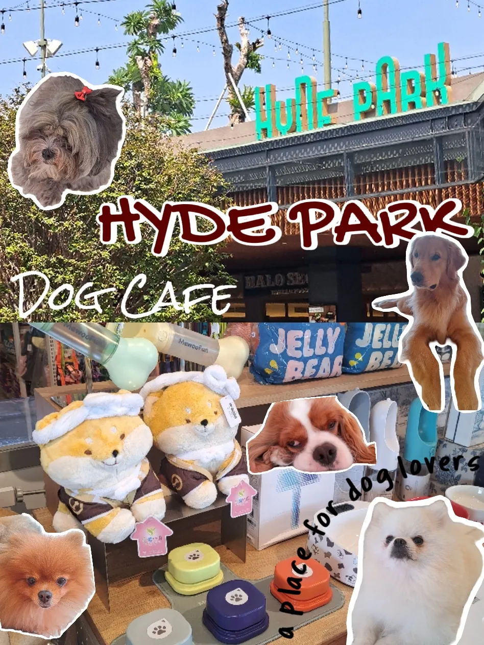 hyde park dog cafe