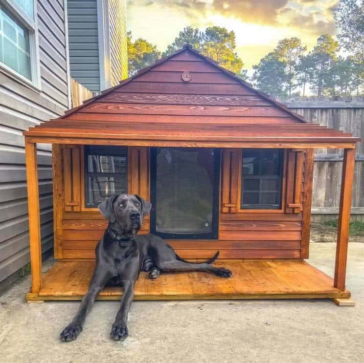 how to build a dog house for a great dane