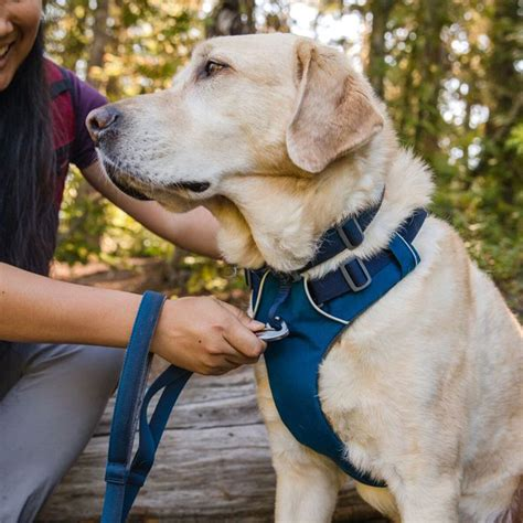 Ruffwear Front Range Harness