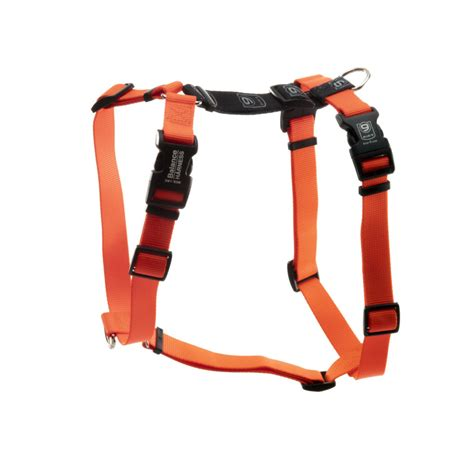 Blue-9 Balance Harness