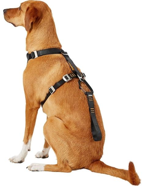 Kurgo Tru-Fit Smart Harness