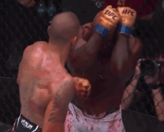 SBvCL.gif