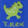 SK741-Baby-Boys-6-Pack-Dinos--Monsters-Socks-SWATCH_2.jpg