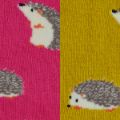 SKT0022PK-HEDGEHOG-SWATCH.jpg