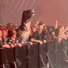 SOW6P.gif