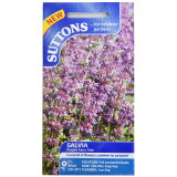 Salvia-Purplr-Fairy-Tale-Set-of-1-1