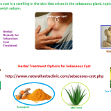 Sebaceous-Cyst-Symptom-and-Herbal-Treatment