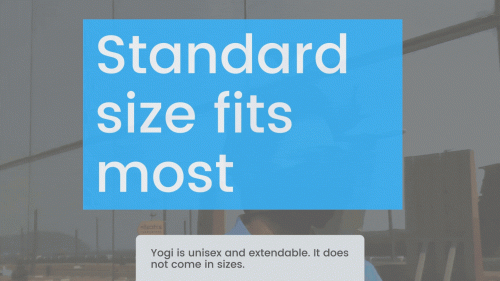 Size-Standard-1.gif