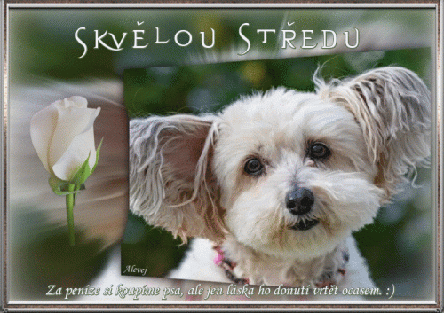 Skvělou středu