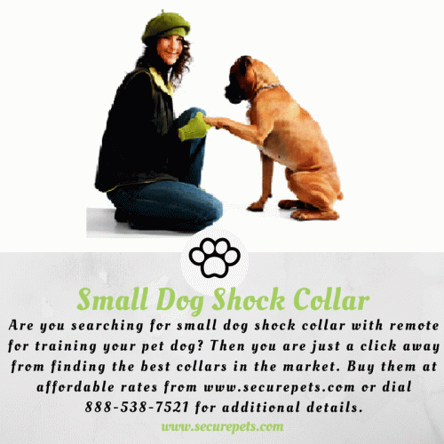 Are you searching for small dog shock collar with remote for training your pet dog? Then you are just a click away from finding the best collars in the market. Buy them at affordable rates from http://www.securepets.com/SmallDogShockCollar.html