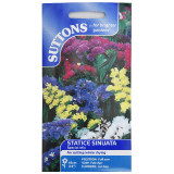 Statice-Sinuata-Special-Mix-set-of-1-1