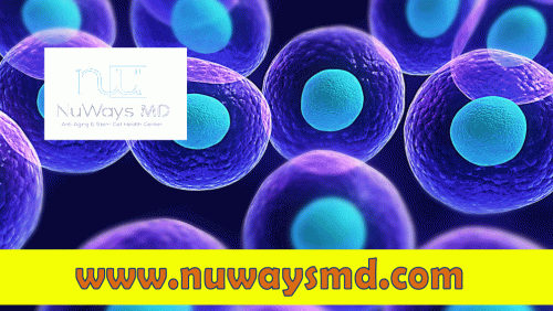 Our Website: http://www.nuwaysmd.com/
The rest of the repair work is done by various other cells hired and also taken care of by the initial Stem Cell Miami. This is why extremely small shots of stem cells are made use of. Infusing larger varieties of stem cells right into an injured area could really interfere with healing, considering that several of the injected cells pass away and should be removed throughout the recovery process. Stem cells are caused to relocate into an area by signals from the cells based on chemical, neural, as well as mechanical adjustments. Hypoxia, which is lack of oxygen, and also inflammation are strong triggers for stem cells to target an injury, although the stems cells represent less than half of the new tissue formed.