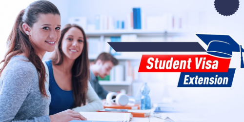 It is a category of visa applied for by the students who wish to extend their existing student visa to complete a course that they are currently enrolled in.
https://nzimmigration.info/student-visa/renew-student-visa/