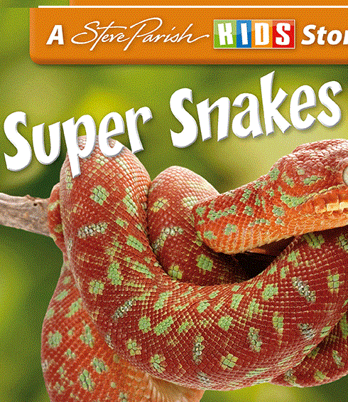 Super.Snakes.2016.MULTi.1080i.HDTV.H264.B89.POLSKI.I.ANGIELSKI.LEKTOR.i.NAPISY.gif