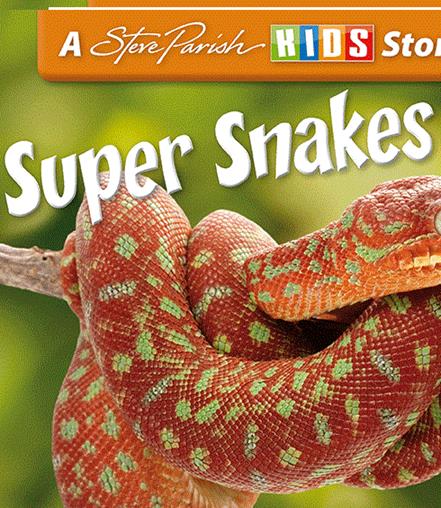 Super.Snakes.2016.MULTi.1080i.HDTV.H264.B89.POLSKI.I.ANGIELSKI.LEKTOR.i.NAPISY.jpg