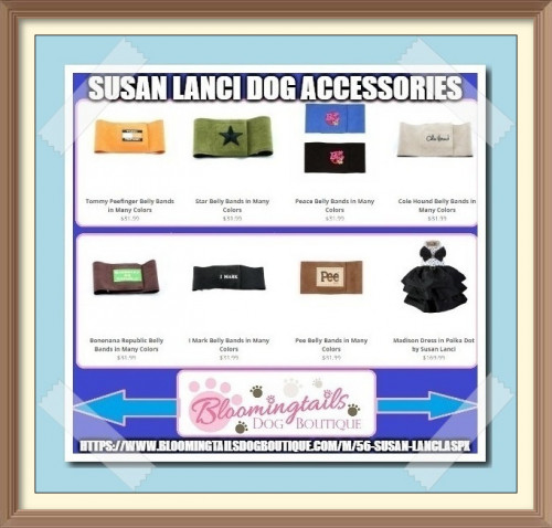 Browse the huge collection of Susan Lanci dog accessories online and make sure to look for current discounts available. https://bit.ly/3Ernc3u