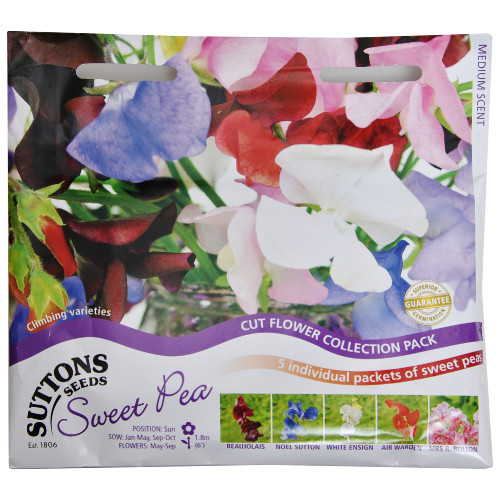 Sweet-Pea-Cut-Flower-Collection-Set-of-1-1.jpg