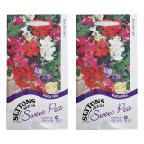 Sweet-Pea-Patio-Mix-Set-of-2-1