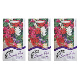 Sweet-Pea-Patio-Mix-Set-of-3-1