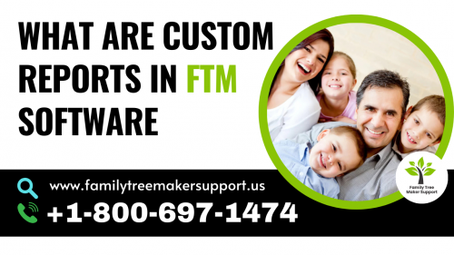 What are Custom Reports in FTM software (1)