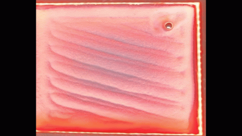 copy 1D8624D7 9683 4F8E BC89 6AC22794B7B9 8