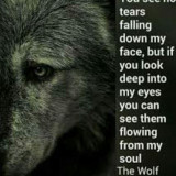 TEARS-OF-THE-SOUL-WOLF
