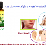 Tea-Tree-Oil-For-Blackheads
