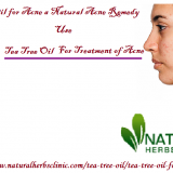 Tea-Tree-Oil-for-Acne-a-Natural-Acne-Remedy