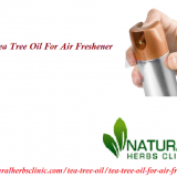 Tea-Tree-Oil-for-Air-Freshener---Natural-Essential-Oils---Natural-Herbs-Clinic