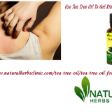 Tea-Tree-Oil-for-Allergies---Natural-Essential-Oils---Natural-Herbs-Clinic