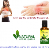 Tea-Tree-Oil-for-Arthritis---Natural-Essential-Oils---Natural-Herbs-Clinic