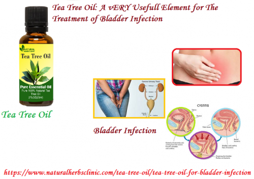 Tea Tree oil for Bladder Infection is good you should Drink 2 to 3 liters of fluids such as water each day. Try to avoid drinking coffee, citrus juices, alcohol and sugary drinks which can irritate the bladder.... https://www.naturalherbsclinic.com/tea-tree-oil/tea-tree-oil-for-bladder-infection
