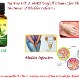 Tea-Tree-Oil-for-Bladder-Infection---Natural-Essential-Oils---Natural-Herbs-Clinic