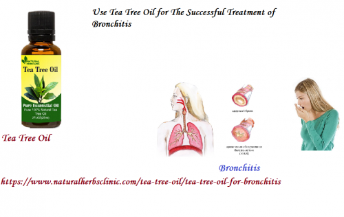 Tea tree oil for bronchitis is good but you need to keep warm. It is best to keep yourself warm, and breathe in warm air when you suffering from bronchitis.... https://www.naturalherbsclinic.com/tea-tree-oil/tea-tree-oil-for-bronchitis