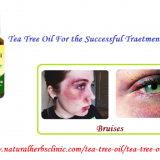 Tea-Tree-Oil-for-Bruises---Natural-Essential-Oils---Natural-Herbs-Clinic