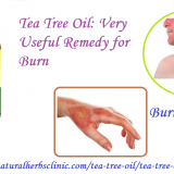 Tea-Tree-Oil-for-Burns---Natural-Essential-Oils---Natural-Herbs-Clinic
