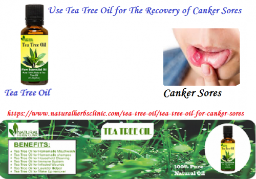 Tea Tree oil for Canker Sores which are a very powerful substance, but you aware of what, when, how and on whom you should use it. Never swallow tea tree oil.... https://www.naturalherbsclinic.com/tea-tree-oil/tea-tree-oil-for-canker-sores