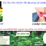 Tea-Tree-Oil-for-Canker-Sores---Natural-Essential-Oils---Natural-Herbs-Clinic